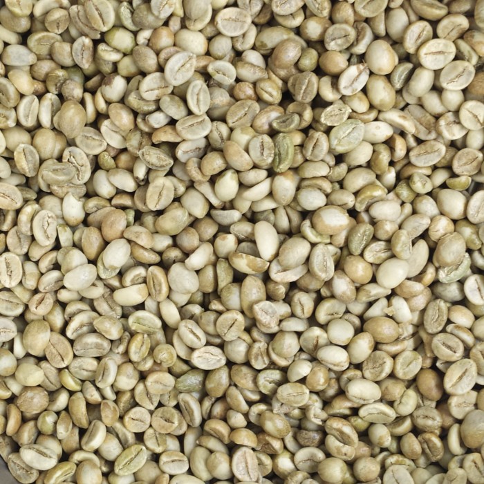 Robusta Coffee